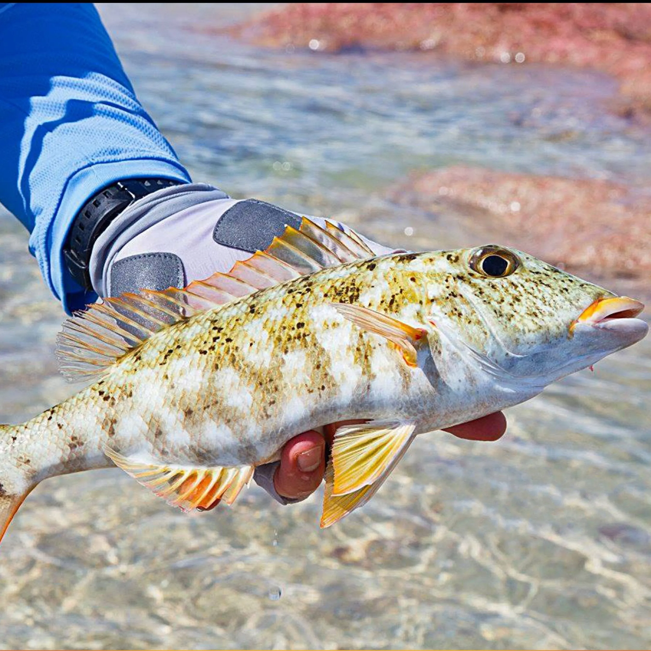 Islamorada Sun Glove