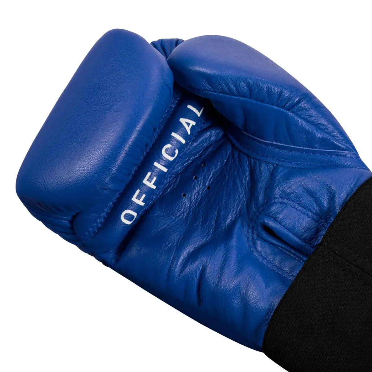 TITLE Boxing Masters USA Boxing Competition Gloves - Elastic